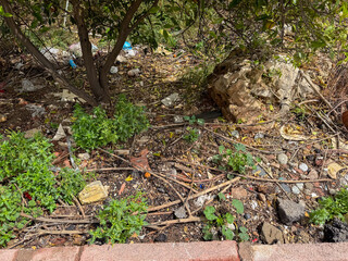 A cluttered outdoor area with scattered trash, small green plants, and a large rock. The scene shows signs of neglect and environmental degradation.