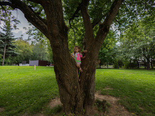 Young girl climbing between two large tree branches in a sunny green park, enjoying carefree summer play, exploration and energetic outdoor childhood fun.
