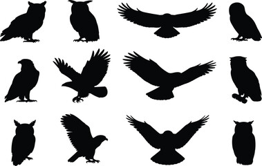 Bird silhouette, owl pose, eagle flight, raptor wingspan, avian vector, black graphic, perched profile, wildlife icon, nature design, predator shapeBird silhouette, owl pose, eagle flight,