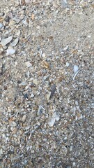 Polluted River with Pebbles and Garbage