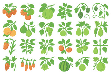 Fototapeta premium Fruit plant and garden crop icon set with botanical illustrations