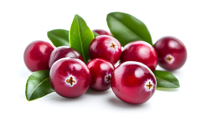 Cranberries with green leaves on white background.