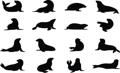 Seal silhouette, sea lion pose, marine animal, ocean wildlife, aquatic vector, black graphic, nature icon, flipper motion, coastal species,