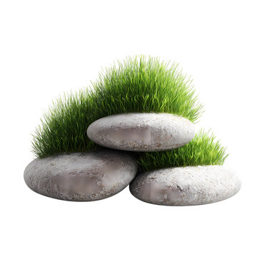 Grass growing on stones isolated on transparent background