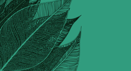 Stylized green bird feathers creating a delicate and modern abstract pattern background with copy space