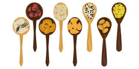 
 Colorful vector illustration of beans and legumes in cartoon style in colorful wooden spoons.