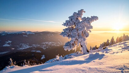 A massive ancient tree growing from a snow mountain peak, covered in frost and shimme