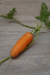 Single crisp orange carrot, freshly picked with its vibrant green tops and slender roots, 