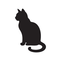 black cat on white background
