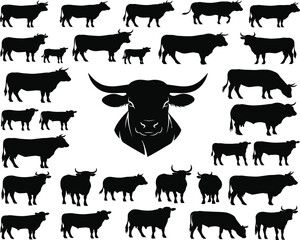 Bull silhouette collection, animal poses, livestock vector, farm icon set, strong bull head, black graphic, cad drawing flat vector illustration