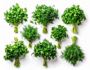 Fototapeta premium Assortment of Fresh Green Herbs Bundles on White Background
