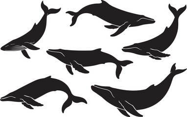 minimal whale silhouettes vector set six poses for marine design education logos and icons ai eps jpeg png