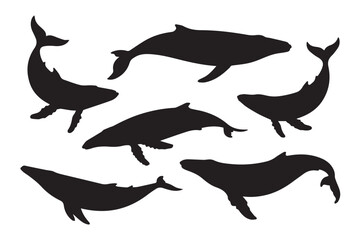 black whale silhouettes set with baleen and fluke detail vector illustration