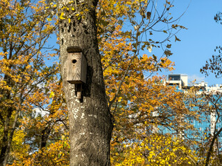Wooden Birdhouse Autumn Trees Modern Building Sky