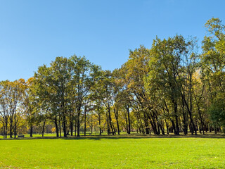 Wide Green Lawn Autumn Trees Blue Sky Park