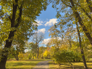 Autumn Park Path Golden Trees Blue Sky View