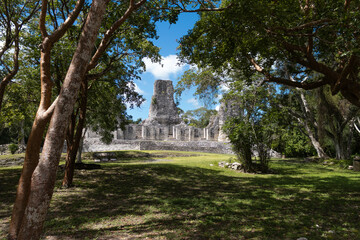Mayan structures, Calakmul, Campeche, Mexico
