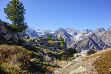 Fototapeta premium herbst in den schweizer alpen