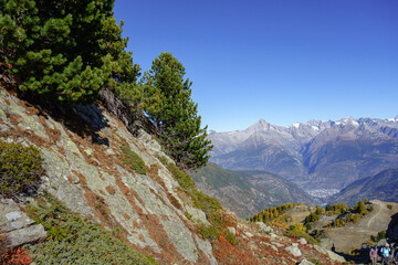 herbst in den schweizer alpen
