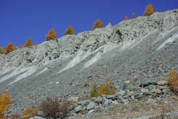 Herbstzeit im Kanton Wallis in der Schweiz