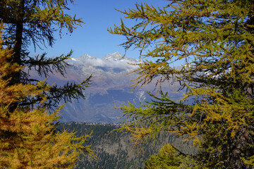 Herbstzeit im Kanton Wallis in der Schweiz