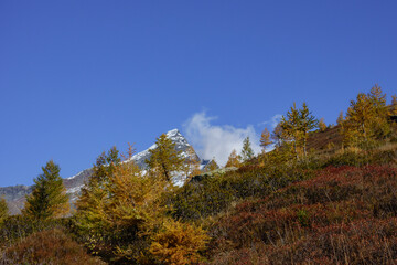 Herbstzeit im Kanton Wallis in der Schweiz