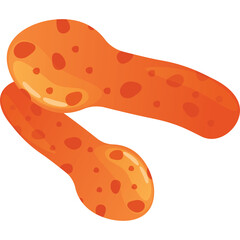 Two Orange Peanut Shaped Snacks With Reddish Brown Spots On A Transparent White Background Clean Isolated Graphic Design