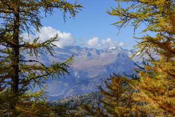 Herbstzeit im Kanton Wallis in der Schweiz