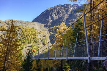 Herbstzeit im Kanton Wallis in der Schweiz