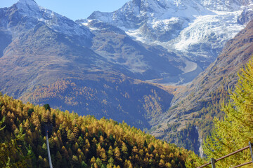 Herbstzeit im Kanton Wallis in der Schweiz