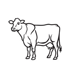 Cow Line Art Vector Illustration