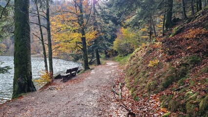 Banc au lac des corbeaux © Yannick