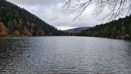 Lac des corbeaux dans les vosges © Yannick