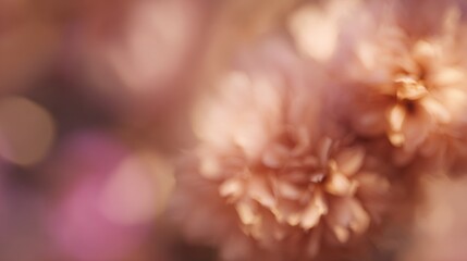 Blurred bokeh floral background light leak overlay. Soft flower bloom aesthetic. Vintage watercolor...