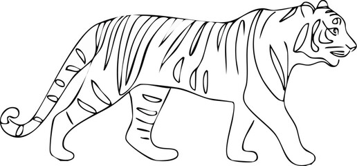 Minimal continuous line art of tiger walking gracefully isolated on white background, One line drawing of tiger walking elegant minimal vector, Abstract continuous line art tiger silhouette 