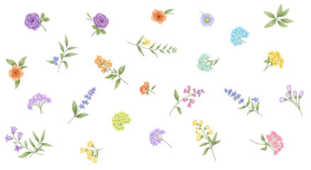 Watercolor Wildflower Botanical Elements Set for Spring Wedding Invitations Design Projects