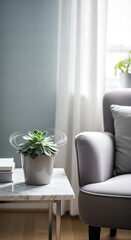 Succulent plant thrives on marble table in modern living room