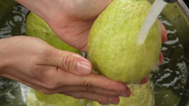Close-up of fresh green guavas being washed in a stainless steel bowl under a strong stream of tap water. Water splashes and creates bubbles. Food hygiene concept.