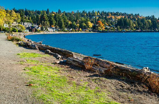 Lincoln Park Shoreline Homes
