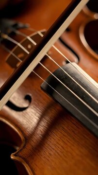 Closeup violin string bow wooden musical instrument showing detailed texture warm brown color fine craftsmanship soft warm lighting classical