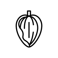 Almond Fruit Line Icon Vector Illustration
