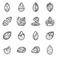 Outline Almond and Nut Icons Set with Half Cut, Milk Splash, and Cracked Shell