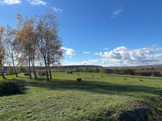 Beautiful autumn park filled with golden-yellow trees, cozy benches, and winding walking paths. Fallen leaves cover the ground, creating a peaceful and romantic atmosphere perfect for relaxation