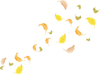 風に舞う落ち葉の背景イラスト