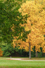 Naklejka premium Herbstzeit in Wiesbaden