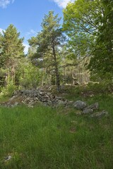 Landscape view of Heinästien meadow, is a traditional environment, where there were previously buildings and stone fences, in cloudy summer weather, Nikula, Espoo, Finland.