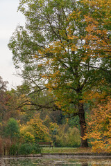 Fototapeta premium die hessische Landeshauptstadt Wiesbaden im Herbst