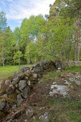 Landscape view of Heinästien meadow, is a traditional environment, where there were previously buildings and stone fences, in cloudy summer weather, Nikula, Espoo, Finland.