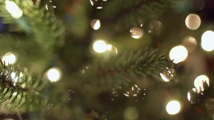 Full HD Christmas Tree: Festive Decoration - Powered by Adobe