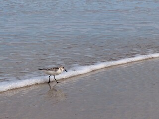 Plage de Floride en octobre 2025